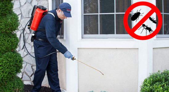 Talas Karınca İlaçlama böcek ilaçlama ve haşere kontrolü — ilaclama-tr.com